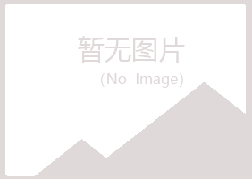 高安字迹能源有限公司